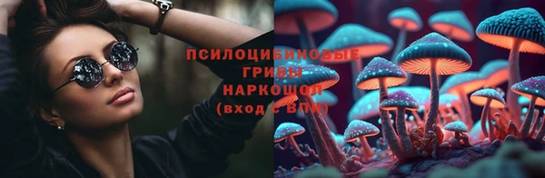 ПСИЛОЦИБИНОВЫЕ ГРИБЫ Балахна