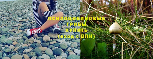 ПСИЛОЦИБИНОВЫЕ ГРИБЫ Балахна