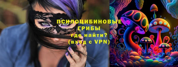 гидра Баксан