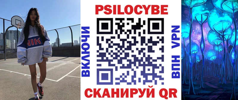 MEGA   Курильск  Галлюциногенные грибы Psilocybine cubensis 