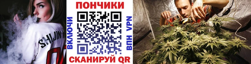 Конопля марихуана  Курильск 